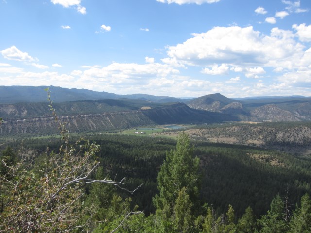 IMG_4504.JPG